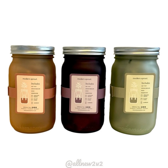 Set of 3 Herb Garden Jars Host Pick - Picture 16 of 16